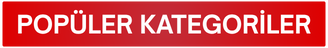 popüler kategoriler