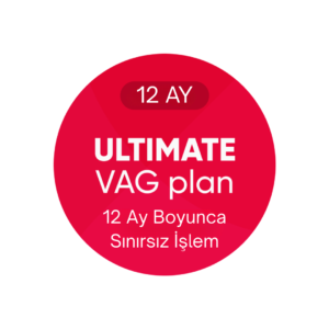 obdeleven ultimate planı